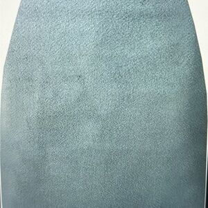 NWT High waist pencil body con skirt